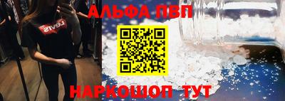 сатива Новодвинск