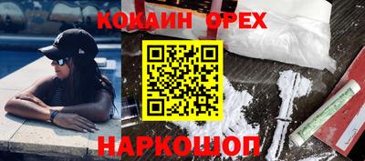 сатива Новодвинск