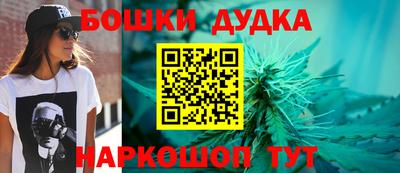 сатива Новодвинск