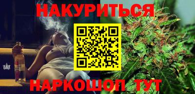 сатива Новодвинск