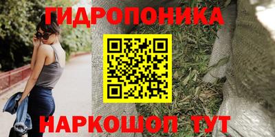 сатива Новодвинск