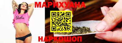 сатива Новодвинск